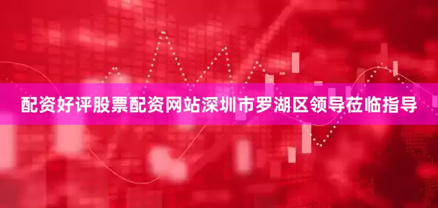 配资好评股票配资网站深圳市罗湖区领导莅临指导