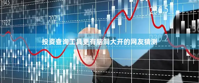 投资查询工具更有脑洞大开的网友猜测