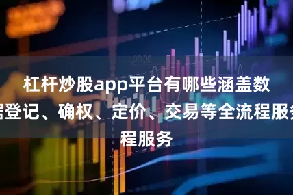杠杆炒股app平台有哪些涵盖数据登记、确权、定价、交易等全流程服务