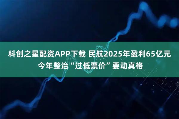 科创之星配资APP下载 民航2025年盈利65亿元 今年整治“过低票价”要动真格
